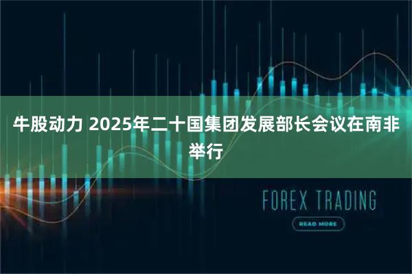 牛股动力 2025年二十国集团发展部长会议在南非举行
