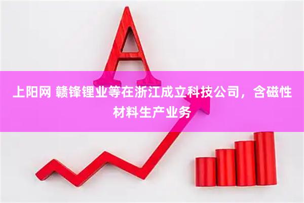 上阳网 赣锋锂业等在浙江成立科技公司，含磁性材料生产业务