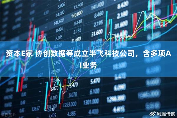 资本E家 协创数据等成立半飞科技公司，含多项AI业务