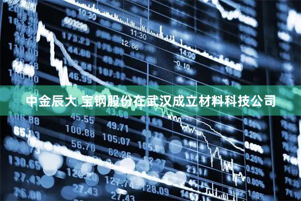 中金辰大 宝钢股份在武汉成立材料科技公司
